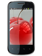 Best available price of Celkon A19 in Ireland
