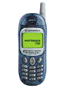 Best available price of Motorola T190 in Ireland
