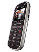 Best available price of Motorola WX288 in Ireland