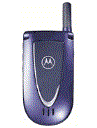 Best available price of Motorola V66i in Ireland